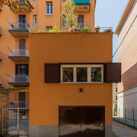 Wild Flower By Wonderful Italy